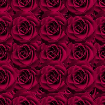 Vorschaubild zum Design Samba Rote Rosen von Liani DeGeeter