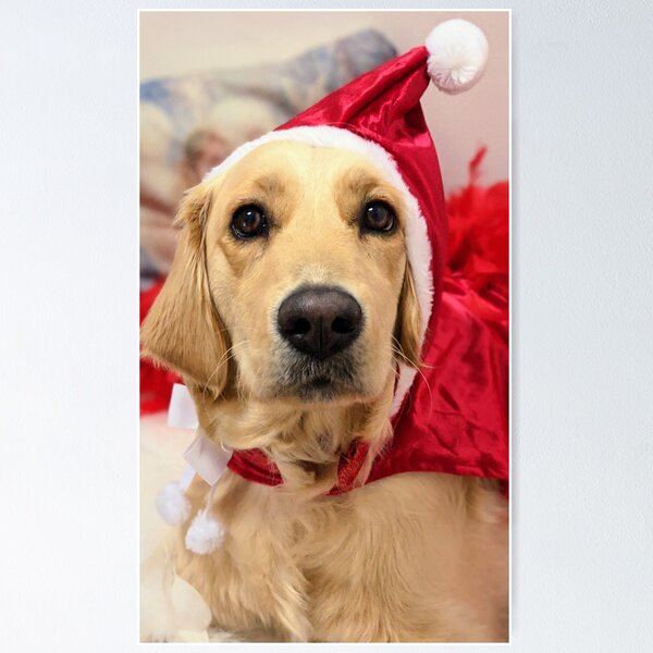 Artikelvorschau, Golden Retriever Santa Welpen frohe Weihnachten entworfen und verkauft von Fluffycat2020.