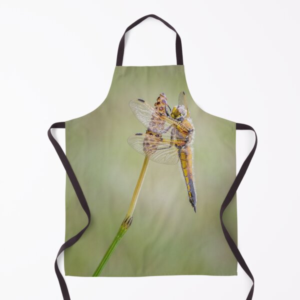 Item preview, Four Spot Chaser Dragonfly on Horsetail designed and sold by Alec Stewart.