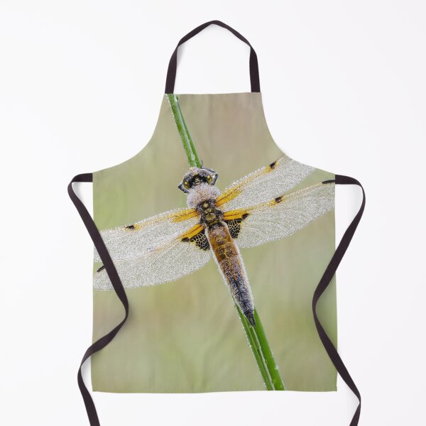 Item preview, Four Spot Chaser Dragonfly designed and sold by Alec Stewart.