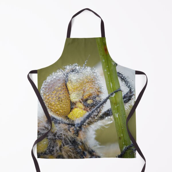 Item preview, Four Spot Chaser Dragonfly Portrait designed and sold by Alec Stewart.