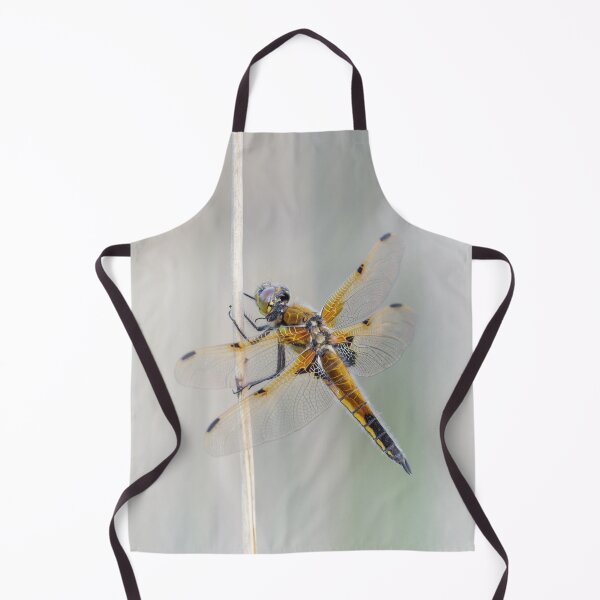 Item preview, Four Spot Chaser Dragonfly designed and sold by Alec Stewart.