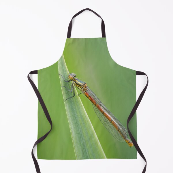 Item preview, Large Red Damselfly designed and sold by Alec Stewart.
