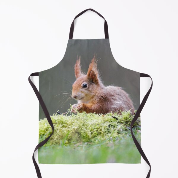 Item preview, Red Squirrel Portrait designed and sold by Alec Stewart.