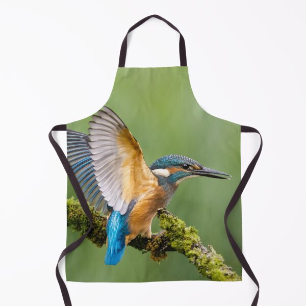 Item preview, Juvenile Kingfisher designed and sold by Alec Stewart.