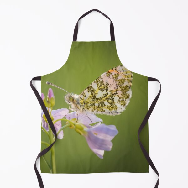 Item preview, Orange Tip Butterfly on Lady's Smock designed and sold by Alec Stewart.