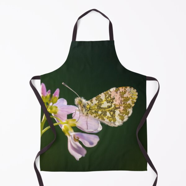 Item preview, Orange Tip Butterfly on Cuckoo Flower designed and sold by Alec Stewart.