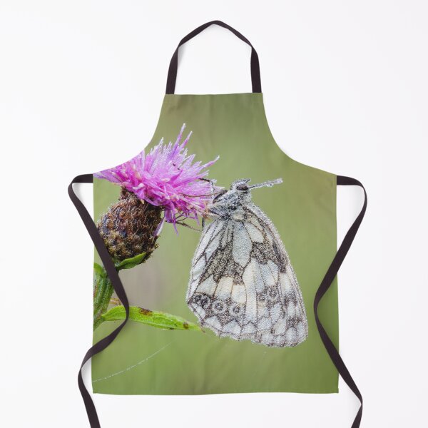 Item preview, Marbled White Butterfly on Knapweed designed and sold by Alec Stewart.