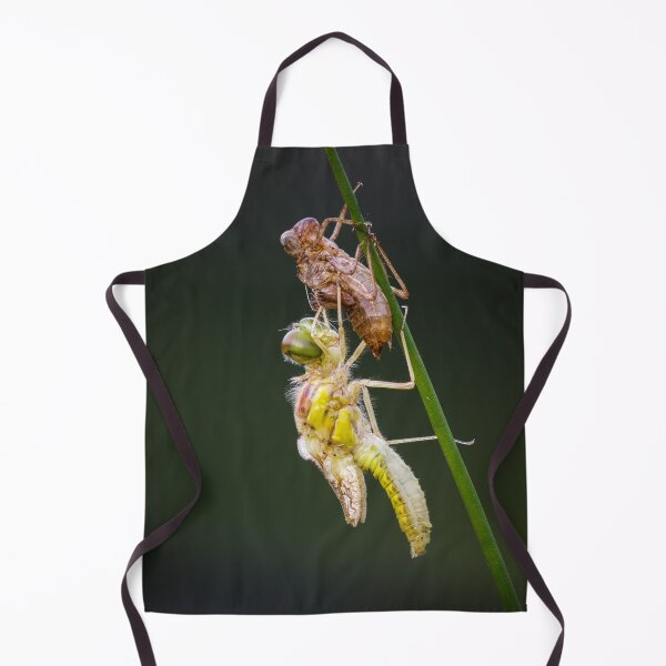 Item preview, Common Darter Dragonfly Emerging designed and sold by Alec Stewart.