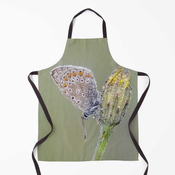 Item preview, Common Blue Butterfly On Hawkweed designed and sold by Alec Stewart.