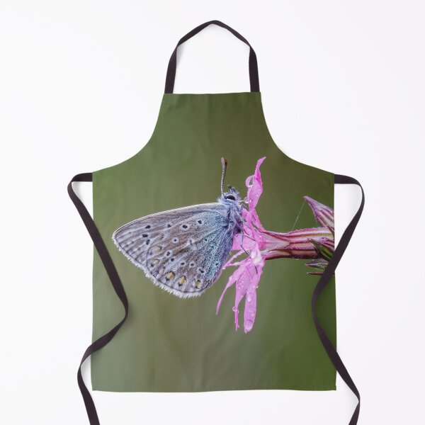 Item preview, Common Blue Butterfly  designed and sold by Alec Stewart.