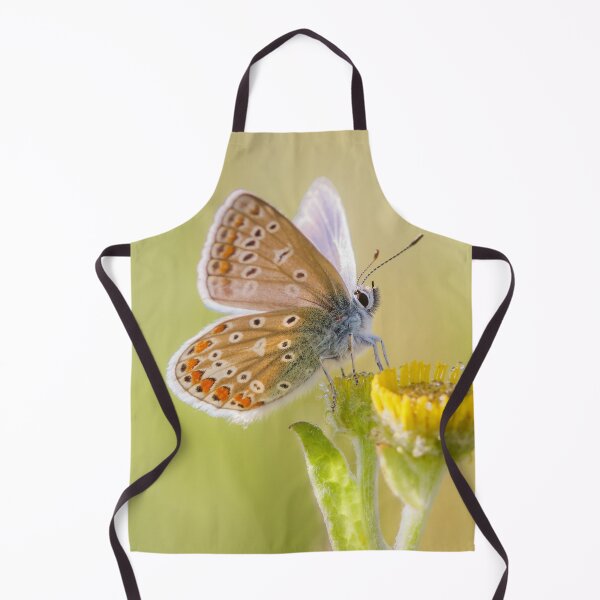 Item preview, Common Blue on Fleabane designed and sold by Alec Stewart.