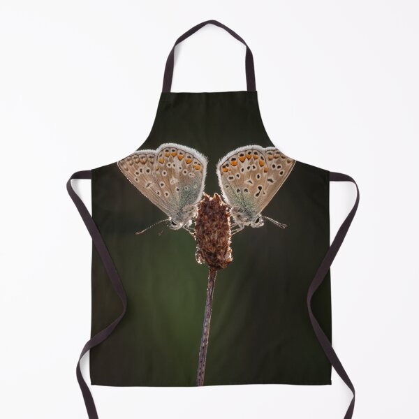 Item preview, Pair of Common Blue Butterflies designed and sold by Alec Stewart.