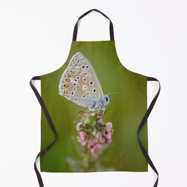 Item preview, Common Blue Butterfly designed and sold by Alec Stewart.