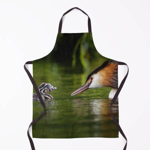 Item preview, Great Crested Grebe Chick with Parent designed and sold by Alec Stewart.