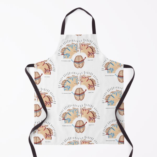 Item preview, Cortical Homunculus Illustration designed and sold by ScienceSource.
