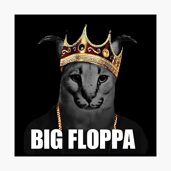 Big Floppa Meme Cat T-Shirt  Videos graciosos de animales