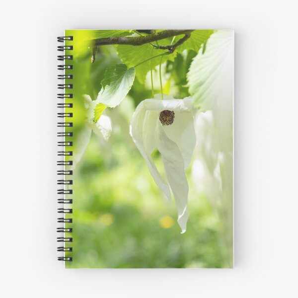 Item preview, Handkerchief Tree designed and sold by BradleyRogers96.