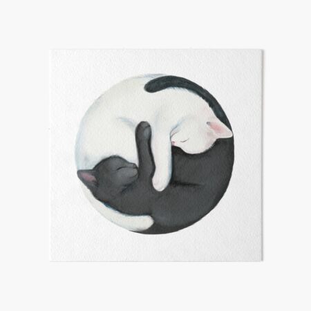 Yin Yang Balancing Cats Art Board Print