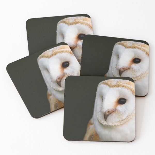 Item preview, Barn Owl designed and sold by Ryan  Ten.