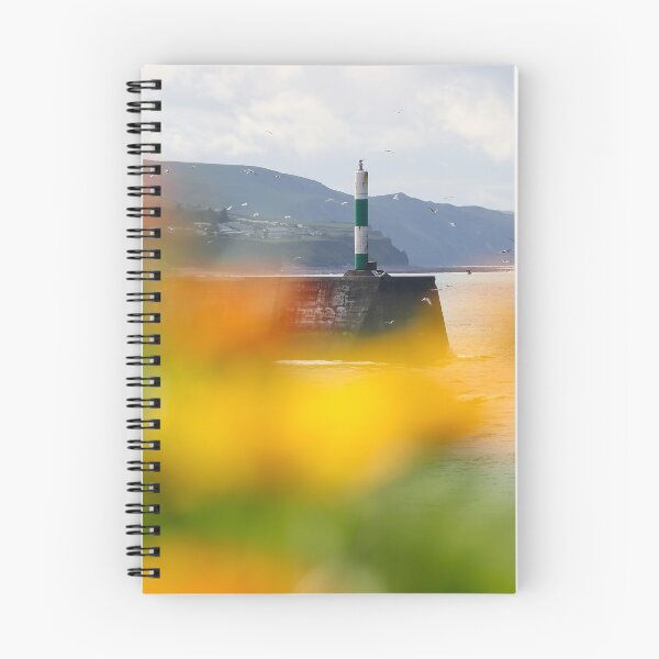 Item preview, Aberystwyth Lighthouse in flowers designed and sold by GreyFeatherPhot.