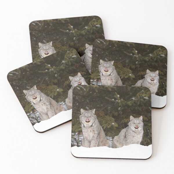 Item preview, Simon Says...touch your tongue to your nose! designed and sold by mlorenz.