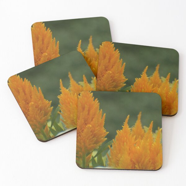 Item preview, Orange Fluffy Plant designed and sold by Jo Jurkiewicz.