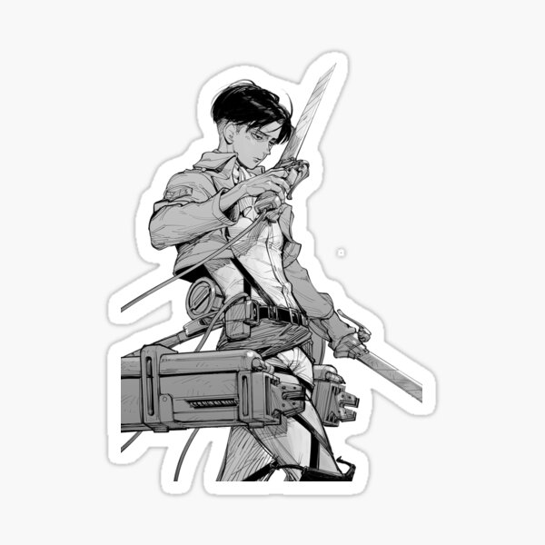 Levi Sticker