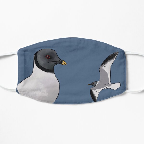 Sabines Gull Flat Mask
