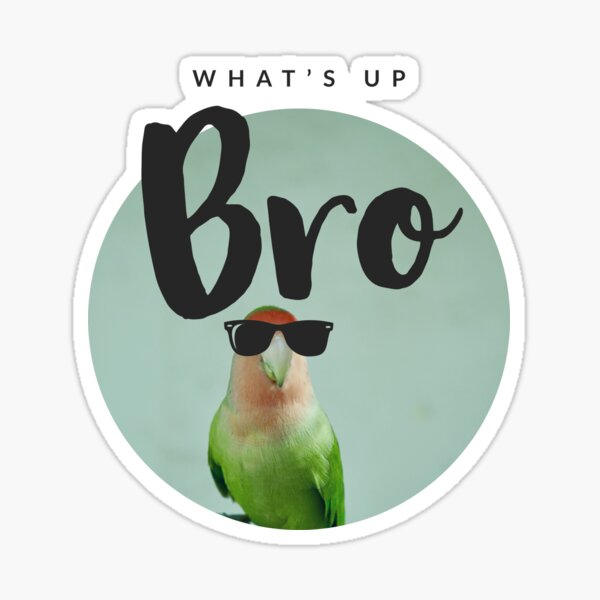 Item preview, WHATs Up agaporni - birds - pájaros - funny animals  designed and sold by Tropical Blood.