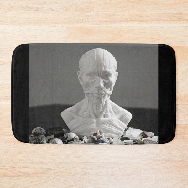 Item preview, Anatomy Model designed and sold by hugoncalves.