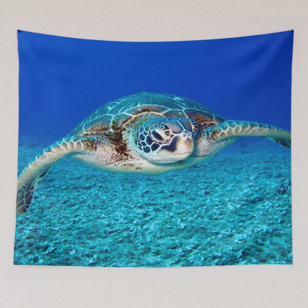 Item preview, Turtle In Blue Water designed and sold by Lingdom.