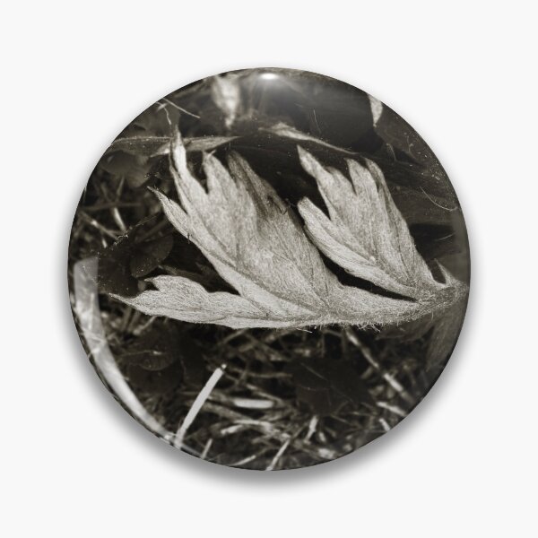 Item preview, Green Leaf (Sepia) designed and sold by ZiffyPhotos.