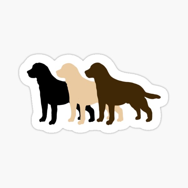 Item preview, Labrador Retrievers - Chocolate Lab - Yellow Lab - Black Lab  designed and sold by delmarvastickers.