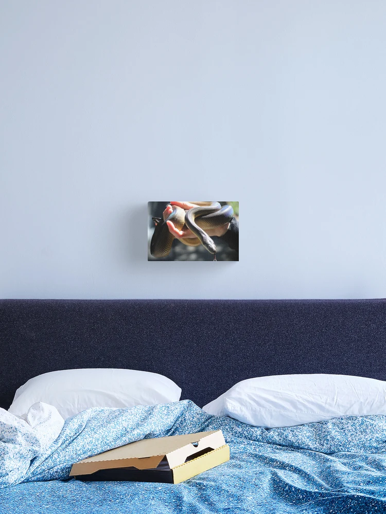Thumbnail 2 of 3, Canvas Print, Water Python designed and sold by EmmaCoops.