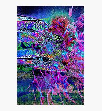 Nooks Photographic Print