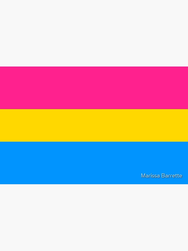 Pansexuality Pride Flag Poster For Sale By Musicgirl32 Redbubble 2502