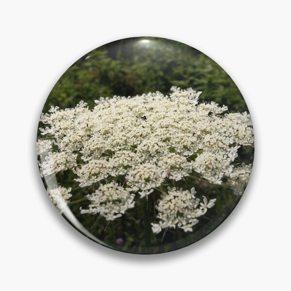 Pin Button