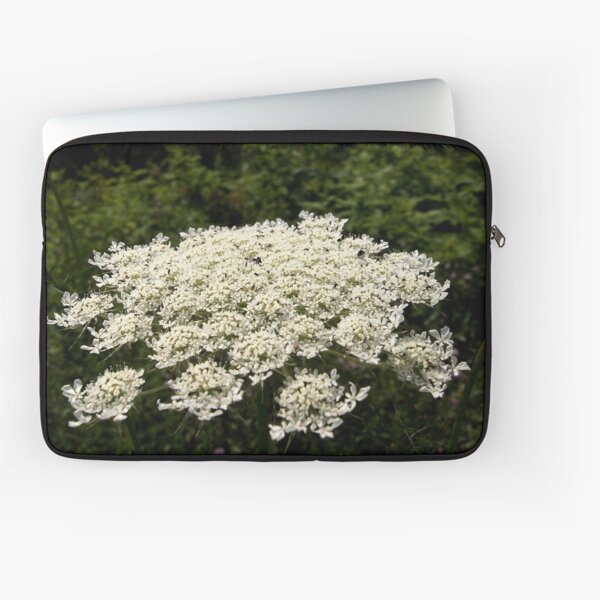 Laptop Sleeve
