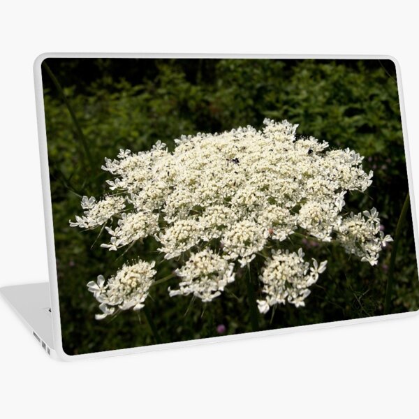 Macbook Air 13" (2015)