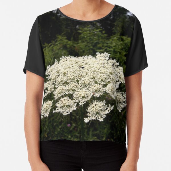 Chiffon Top