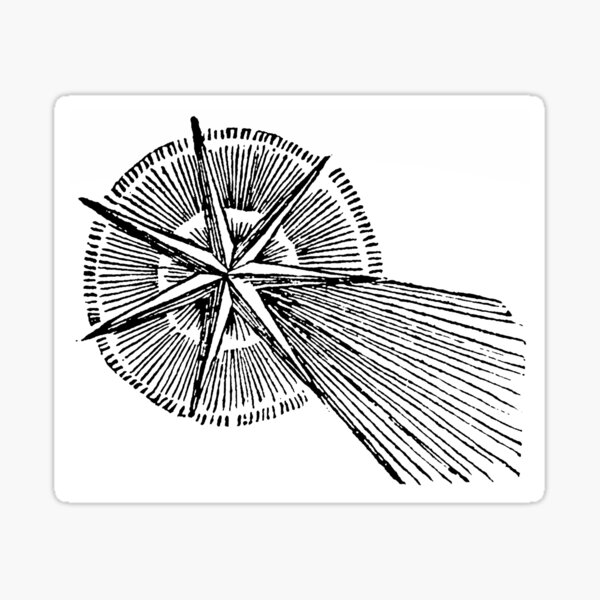 CANDOR ILLAESUS Sticker