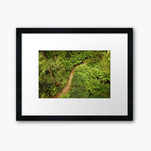 Item preview, Forest Green designed and sold by Catherine Reading.