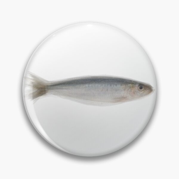 Item preview, Sardine overlay designed and sold by Steven Socha.