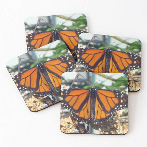 Item preview, Monarch Butterfly designed and sold by AMarion418.