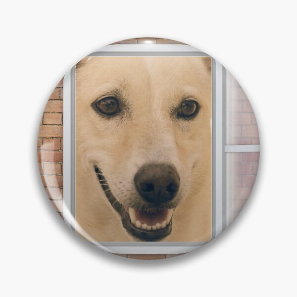 Item preview, Happy Smiling Dog Looking out Window - Brick Wall designed and sold by ittybittyowl.