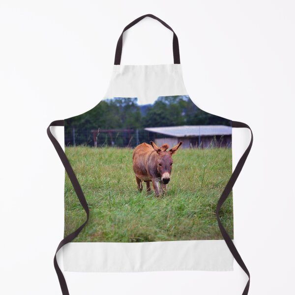 Item preview, Sicilian Donkey designed and sold by Cynthia48.