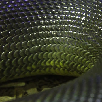 Artwork thumbnail, WaterPythonScales by EmmaCoops
