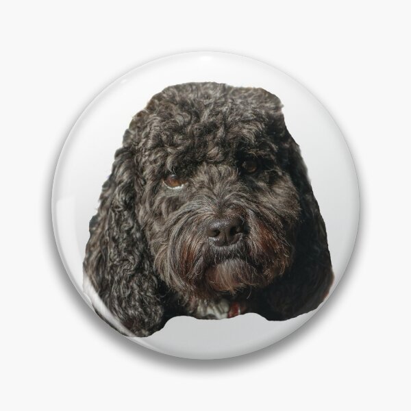 Item preview, Cockapoo - Phoebe Head designed and sold by CrudeArts.