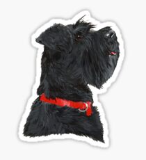 Miniature Black Schnauzer Head Shot Sticker